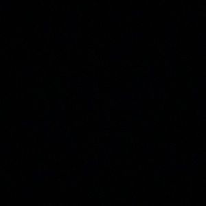 Meet your Posher, Lacy